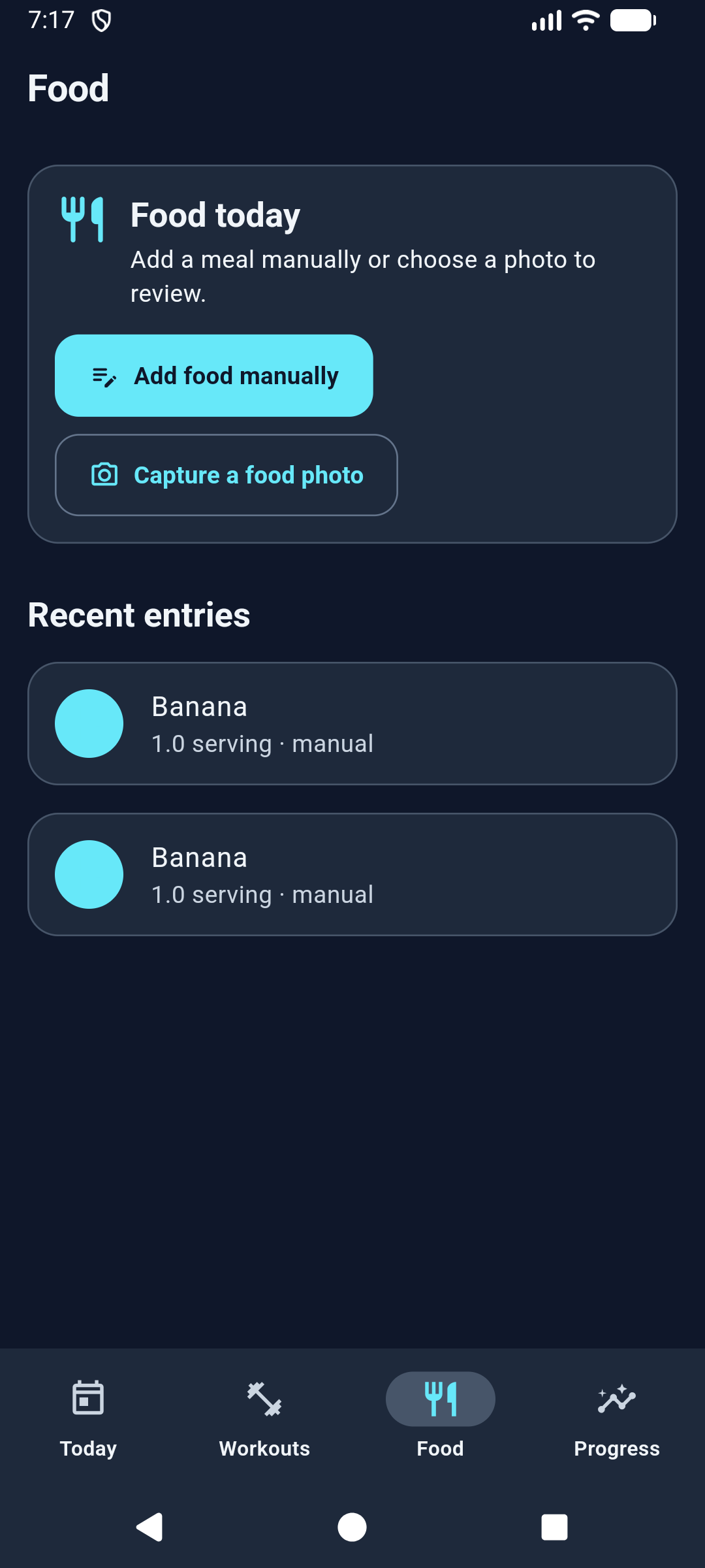 FitLite food screen with manual meal entries